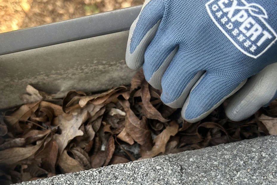 Gutter Cleaning Madisonville LA